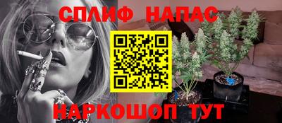 не бодяженный Краснодар