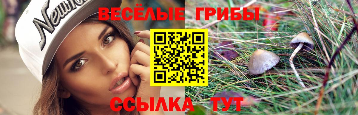 Псилоцибиновые грибы Magic Shrooms Коломна
